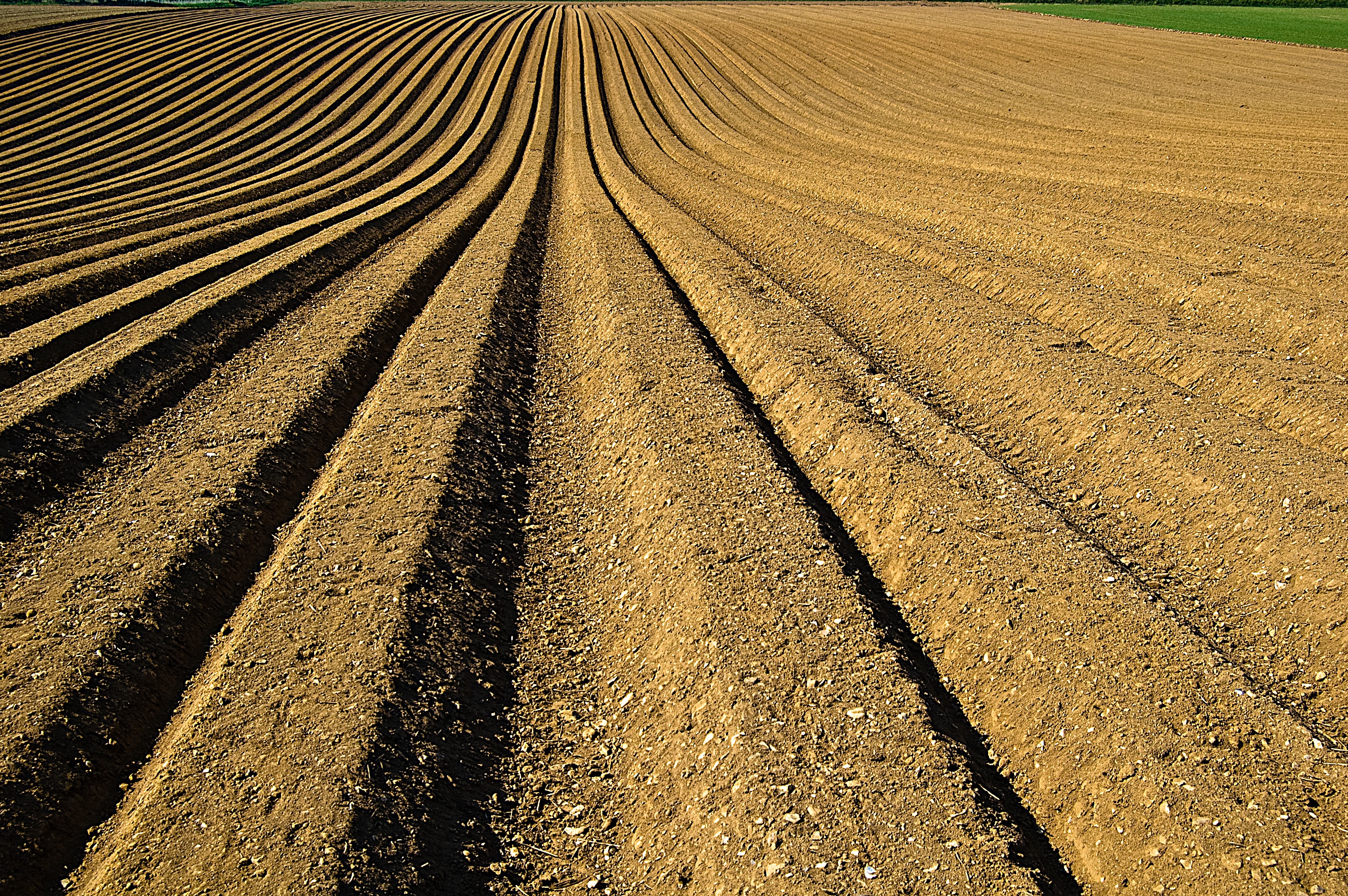 agricultura